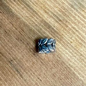 Chamilia sterling silver charm